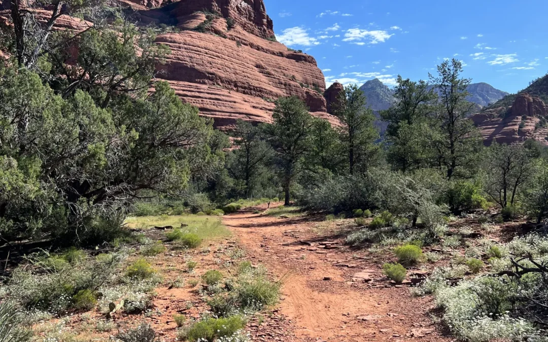 Hiking with Oprah